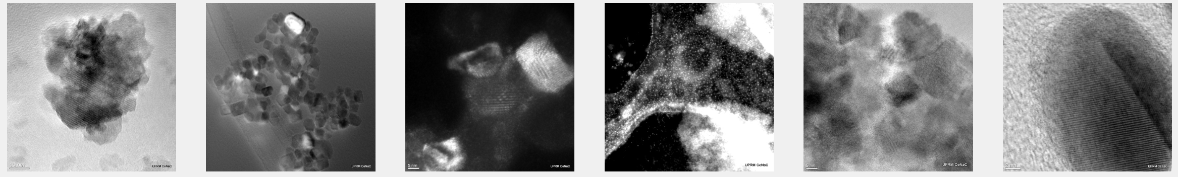 different microscopic images